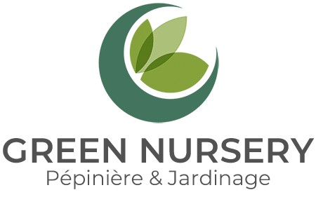 Avada Interior Design